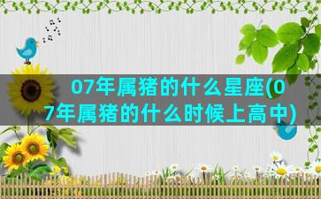 07年属猪的什么星座(07年属猪的什么时候上高中)