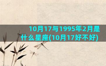 10月17与1995年2月是什么星座(10月17好不好)