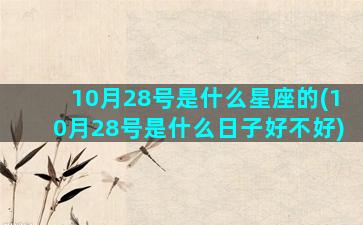 10月28号是什么星座的(10月28号是什么日子好不好)