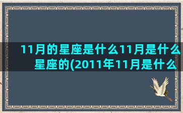 11月的星座是什么11月是什么星座的(2011年11月是什么星座)