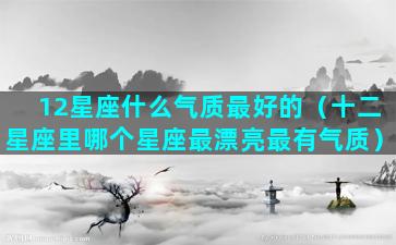 12星座什么气质最好的（十二星座里哪个星座最漂亮最有气质）