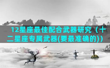 12星座最佳配合武器研究（十二星座专属武器(要最准确的)）