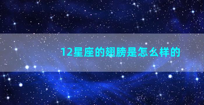 12星座的翅膀是怎么样的