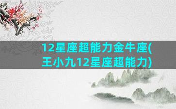 12星座超能力金牛座(王小九12星座超能力)