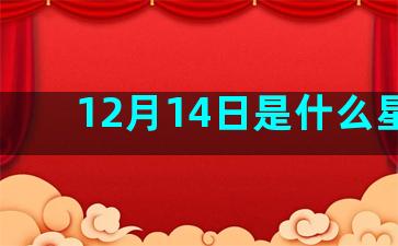 12月14日是什么星座