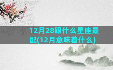 12月28跟什么星座最配(12月意味着什么)