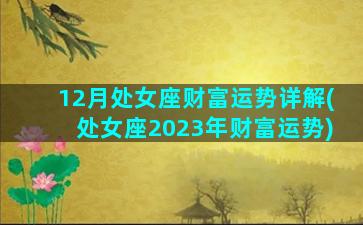 12月处女座财富运势详解(处女座2023年财富运势)