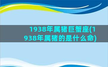 1938年属猪巨蟹座(1938年属猪的是什么命)