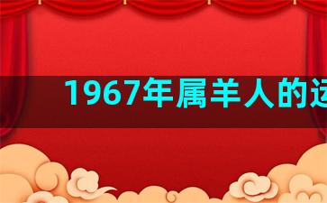 1967年属羊人的运程