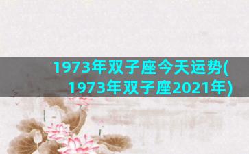 1973年双子座今天运势(1973年双子座2021年)