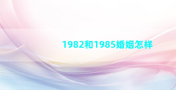 1982和1985婚姻怎样