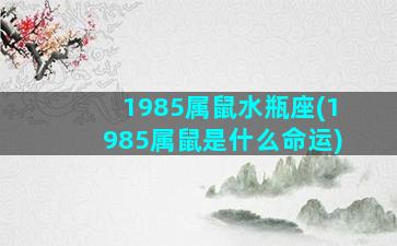 1985属鼠水瓶座(1985属鼠是什么命运)