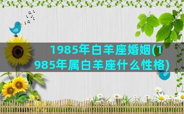 1985年白羊座婚姻(1985年属白羊座什么性格)