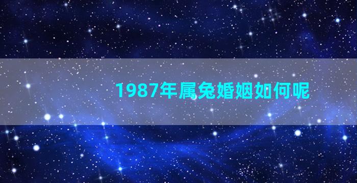 1987年属兔婚姻如何呢