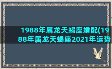 1988年属龙天蝎座婚配(1988年属龙天蝎座2021年运势)