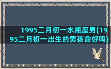 1995二月初一水瓶座男(1995二月初一出生的男孩命好吗)