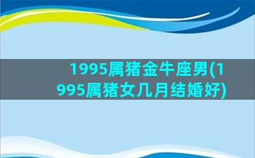 1995属猪金牛座男(1995属猪女几月结婚好)