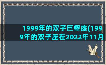 1999年的双子巨蟹座(1999年的双子座在2022年11月运势)