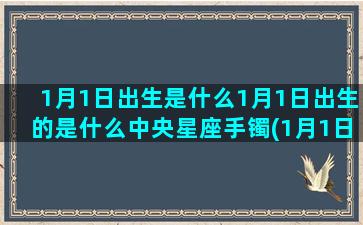 1月1日出生是什么1月1日出生的是什么中央星座手镯(1月1日出生是什么生肖)