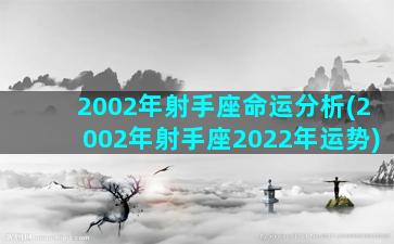 2002年射手座命运分析(2002年射手座2022年运势)