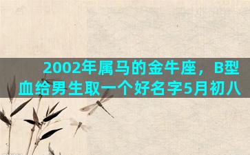 2002年属马的金牛座，B型血给男生取一个好名字5月初八