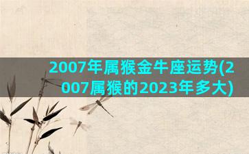 2007年属猴金牛座运势(2007属猴的2023年多大)