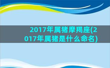 2017年属猪摩羯座(2017年属猪是什么命名)