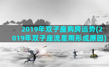 2019年双子座购房运势(2019年双子座流星雨形成原因)