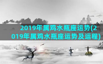 2019年属鸡水瓶座运势(2019年属鸡水瓶座运势及运程)