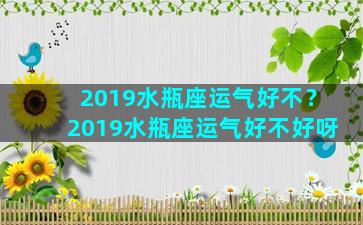 2019水瓶座运气好不？2019水瓶座运气好不好呀