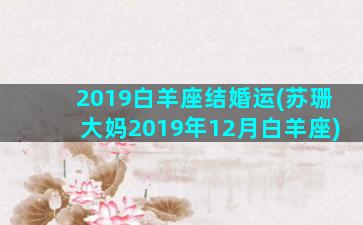 2019白羊座结婚运(苏珊大妈2019年12月白羊座)