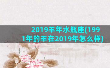 2019羊年水瓶座(1991年的羊在2019年怎么样)