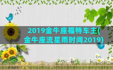 2019金牛座福特车主(金牛座流星雨时间2019)