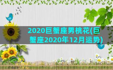 2020巨蟹座男桃花(巨蟹座2020年12月运势)