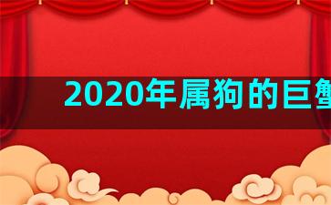 2020年属狗的巨蟹座