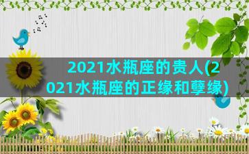 2021水瓶座的贵人(2021水瓶座的正缘和孽缘)