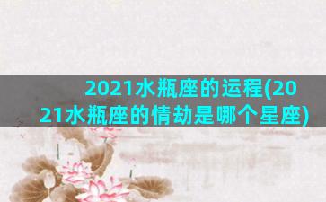 2021水瓶座的运程(2021水瓶座的情劫是哪个星座)