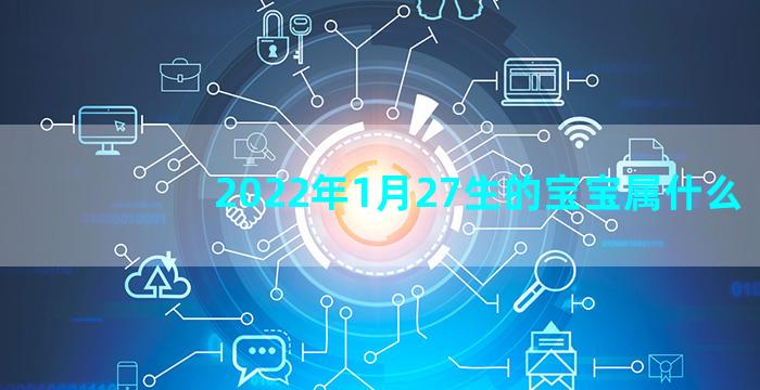 2022年1月27生的宝宝属什么