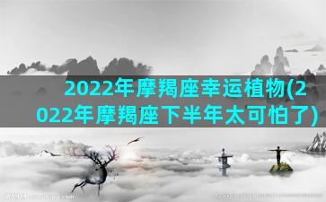 2022年摩羯座幸运植物(2022年摩羯座下半年太可怕了)