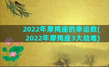 2022年摩羯座的幸运数(2022年摩羯座3大劫难)