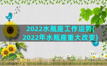 2022水瓶座工作运势(2022年水瓶座重大改变)