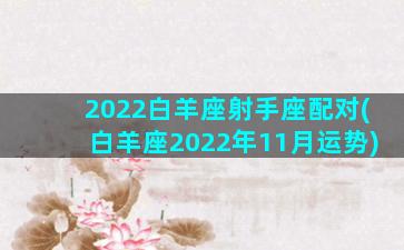 2022白羊座射手座配对(白羊座2022年11月运势)