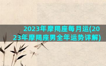 2023年摩羯座每月运(2023年摩羯座男全年运势详解)