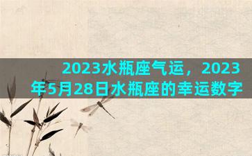 2023水瓶座气运，2023年5月28日水瓶座的幸运数字