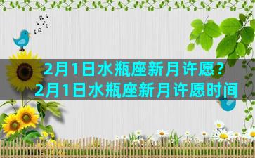 2月1日水瓶座新月许愿？2月1日水瓶座新月许愿时间