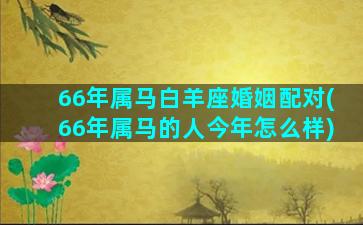 66年属马白羊座婚姻配对(66年属马的人今年怎么样)