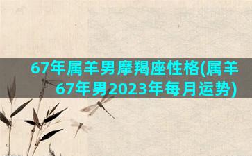 67年属羊男摩羯座性格(属羊67年男2023年每月运势)