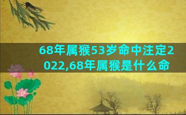 68年属猴53岁命中注定2022,68年属猴是什么命