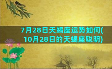 7月28日天蝎座运势如何(10月28日的天蝎座聪明)