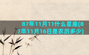 87年11月11什么星座(87年11月16日是农历多少)